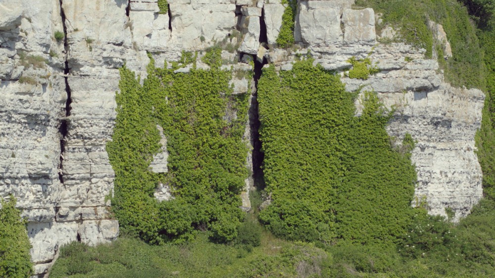 A mossy covered wall. Still image from project.